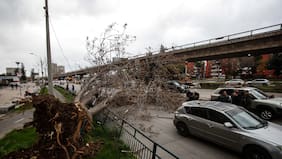 Viento provoca caída de árboles y cortes de tránsito en distintos sectores de Santiago