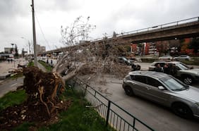 Viento provoca caída de árboles y cortes de tránsito en distintos sectores de Santiago