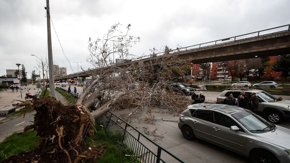 Viento provoca caída de árboles y cortes de tránsito en distintos sectores de Santiago