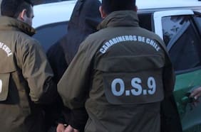 Carabineros detiene a cuatro sujetos por un secuestro vinculado al robo de un caballo en Freire