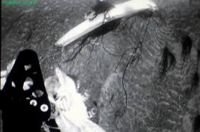 ¿Un submarino nazi? Misterio por sorpresivo hallazgo en Argentina