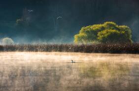 Columna de Camilo Hornauer: Tras 20 años de espera, aprueban norma secundaria para el río Valdivia