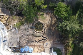 MAC crea un jardín y un sistema hídrico que alimenta una laguna en su sede Quinta Normal