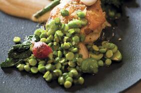 Descubrir al pejeperro