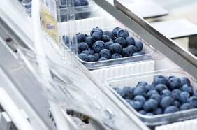 Hortifrut fortalece presencia en Europa tras adquirir a uno de los mayores comercializadores de berries