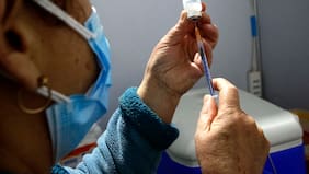 Minsal refuerza vacunación contra el sarampión ante aumento de casos en América y récord en Estados Unidos