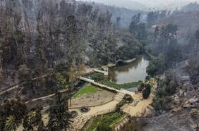 Muere trabajador de Jardín Botánico por graves quemaduras producto de incendio de febrero