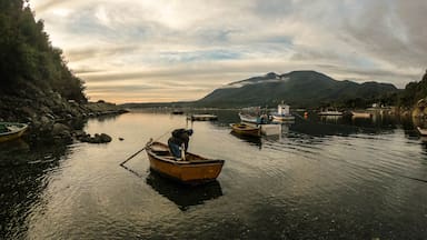 Esto es Chile: lanzan proyecto que recorrerá el país para conocer las aspiraciones y los desafíos regionales