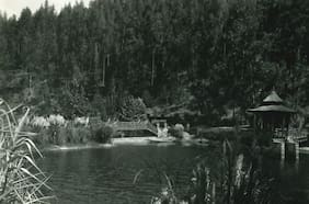De fundo a pulmón verde: historia del Jardín Botánico de Viña del Mar arrasado por los incendios