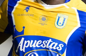 Golpe al Campanil: Tribunal deja sin efecto la transformación de Universidad de Concepción en sociedad anónima deportiva