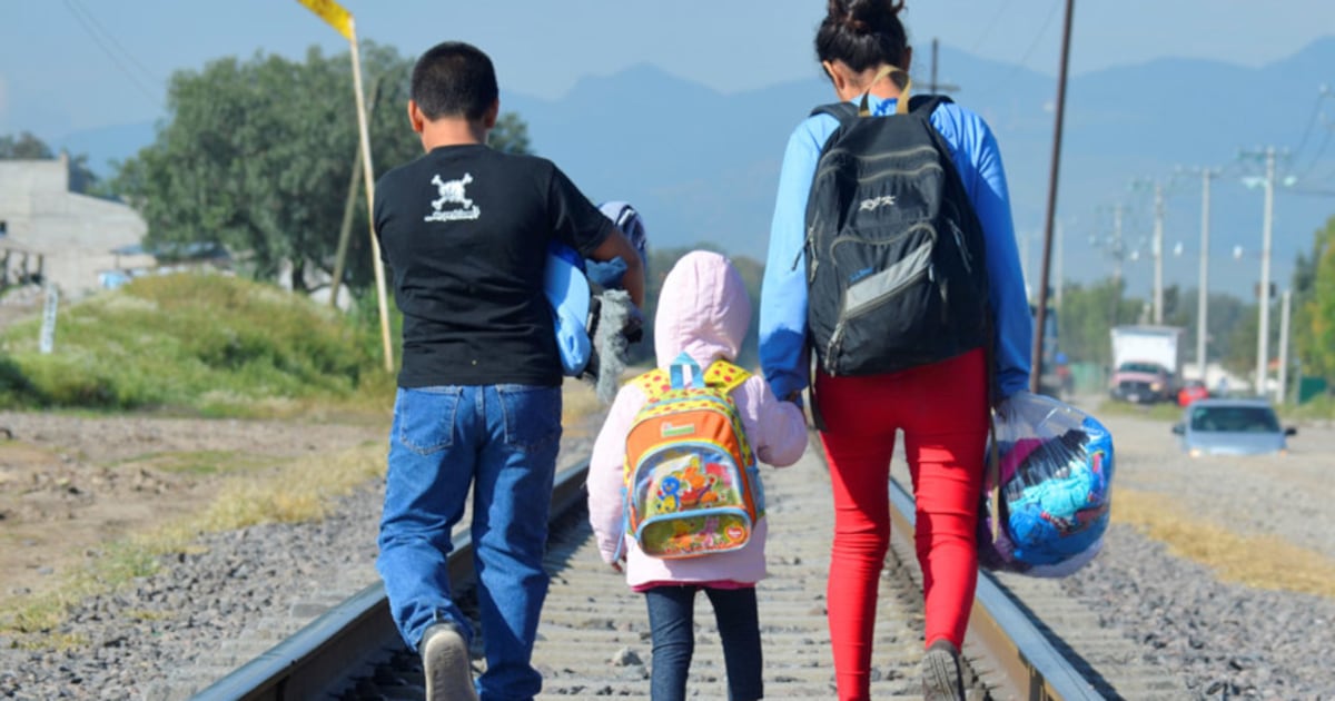 El Papa León XIV y su llamado a una Iglesia centrada en la justicia y la familia: un pontificado que busca reconciliar tradición y urgencias sociales