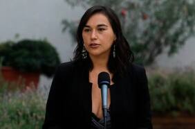 Las dudas del oficialismo ante propuesta intermedia del gobierno para contener violencia en la Macrozona Sur