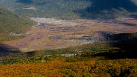 Turberas: el capital natural estratégico que Chile aún debe proteger