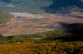 Los humedales de la Patagonia chilena llegan a la Bienal de Arte de Venecia