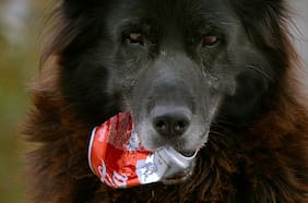 Ondamedia: el “Netflix chileno” crece un 1.000% en visualizaciones tras abrir su plataforma al acceso liberado