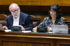 “Necesito el visto bueno del ministro”: nuevos chat de Tatiana Rojas revelan que controló comunicados por Democracia Viva con conocimiento de Montes