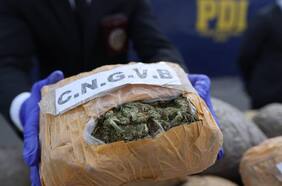 Golpe al narcotráfico: policías incautan cerca de 500 kilos de droga proveniente del norte