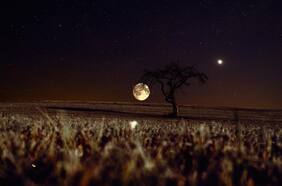 Spica, la misteriosa estrella que será visible junto a la Luna en agosto