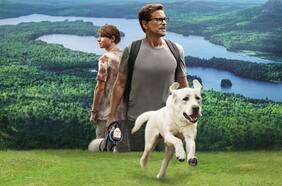 Perro Perdido: la conmovedora historia real tras el filme que emociona en Netflix y su conexión con Chile