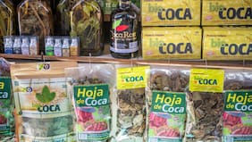 Por qué la OMS rechazó la petición de Bolivia y Colombia de sacar la hoja de coca de la lista de sustancias peligrosas