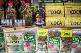 Por qué la OMS rechazó la petición de Bolivia y Colombia de sacar la hoja de coca de la lista de sustancias peligrosas