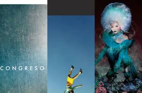 Crítica de discos de Marcelo Contreras: buen saldo para Yeah Yeah Yeahs, Björk y Congreso