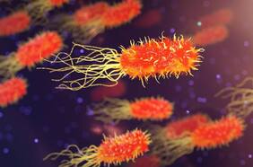 Actualizan alerta por presencia de Listeria en quesillo San Cristóbal: fue comercializado en varias comunas del Ñuble