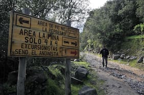 Naturaleza y confinamiento