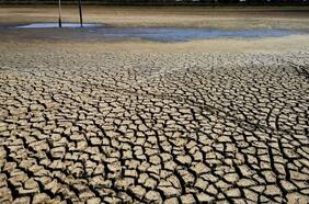 Columna de Fernando Santibález: El regreso de la megasequía