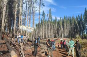 Observatorio Judicial: de 162 causas judiciales por usurpación de tierras entre 2018 y 2021 solo en un caso tiene sentencia