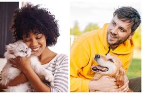 ¿Los perros y gatos eligen a un humano como favorito? Esto dice un experto
