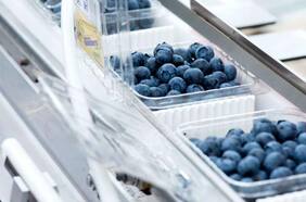 ¿Quién es el nuevo socio estratégico de Hortifrut?: Un fondo de pensiones Canadá que ya está en Transelec