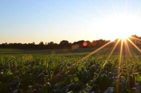 ¿De qué se trata el proyecto de “aguas grises”?