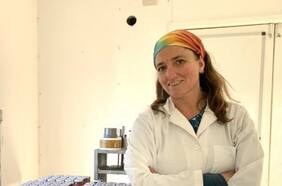 Condimentos, aliños y sales hechos en Chile