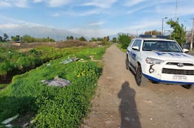 Detienen a hombre acusado de faenar un perro en la vía pública de La Pintana