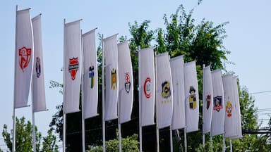 “Demuestra lo que somos y cómo estamos”: Limache arremete contra el Consejo de Presidentes tras escándalo en la ANFP