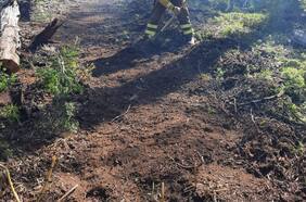 Incendio en Galvarino sigue con alerta roja y alcalde solicita más recursos