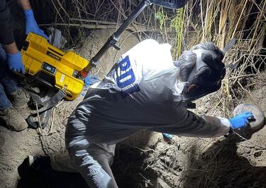 Mujer desaparecida fue encontrada enterrada en Panquehue: su pareja confesó el crimen