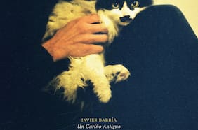 Crítica de discos: Tame Impala, Javier Barría y Shiner siempre brillan