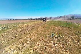 Agricultores calculan daños y emplazan a Colbún tras derrumbe de canal de regadío