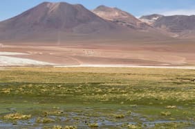 Científicos aprovecharon su paso por Congreso Futuro para investigar los secretos del desierto de Atacama