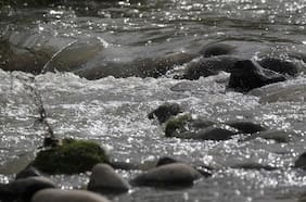 Conflicto de intereses