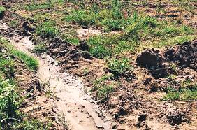 El nuevo round entre agricultores y Colbún por el derrumbe de un canal
