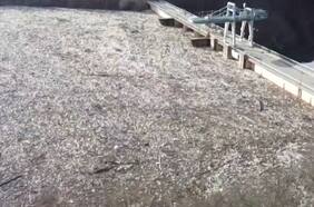 Océano de basura amenaza la represa del Lago Potpecko en Serbia