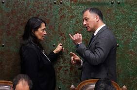 Multa y voto extranjero: Castro afirma que junto a la ministra Lobos se están “jugando” su “capital político para que esto salga”