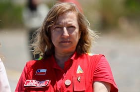 Aida Baldini renuncia a Conaf antes de completar nueve meses como directora ejecutiva