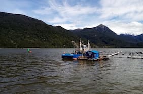Grupo alemán compra el 36% de la chilena Fiordo Austral
