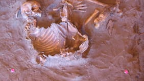 ¿De quiénes son los misteriosos esqueletos de 7 mil años descubiertos en el Sahara?