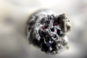 Columna de Guillermo Paraje: “Cáncer de pulmón: lo necesario antes que lo urgente”