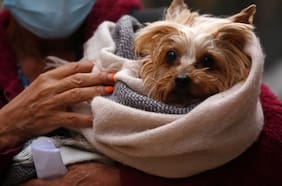 Vuelve la lluvia a la Región Metropolitana: cuándo comienza el nuevo evento de precipitaciones